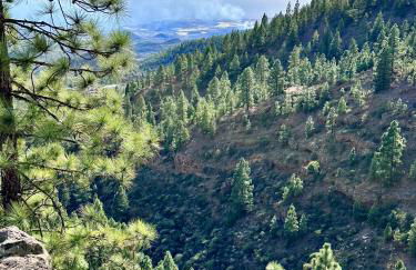 Private Studio & terrace, pool - Foto 43