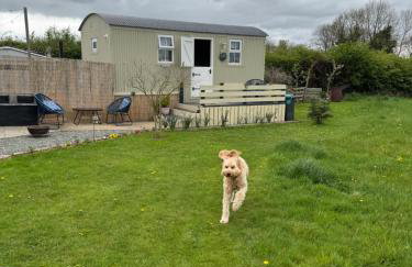 Whitethorn Shepherds Hut - Foto 16