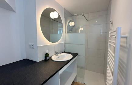 Logis du Pressoir SAINTE SUZANNE - Foto 10