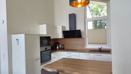 Seeschwalbe 327 - Foto 5