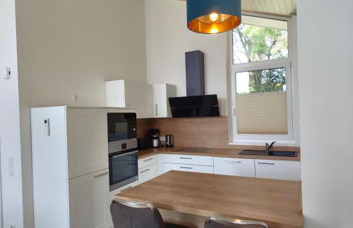 Seeschwalbe 327 - Foto 5