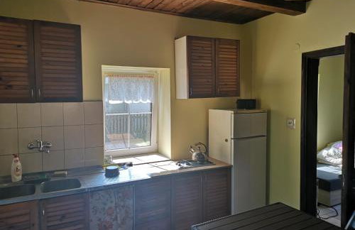 Agroturystyka Wilczyn Cegielnia - Foto 32