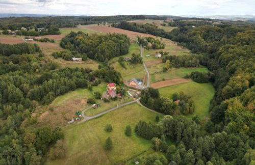Holiday Home Wi niowa with Pool and Nature - Photo 31