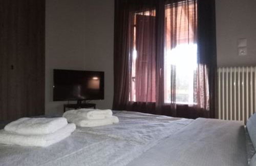 Τείχιο Πατρικό - Tihio Patriko - Πέτρινη κατοικία - Foto 60