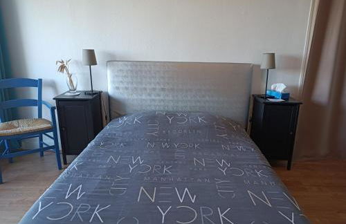 Appartement 2 P 5 PER ENTRE BEAUVAL & CHENONCEAU - Foto 14