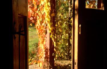 Butterfly Factory - Foto 31