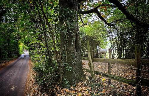 Parkgate Cottage Countryside Stay at Chelsfield Retreat - Photo 9
