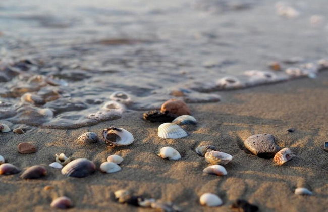 Holiday Home in Caorle Near Spiaggia Tartaruga - Photo 14