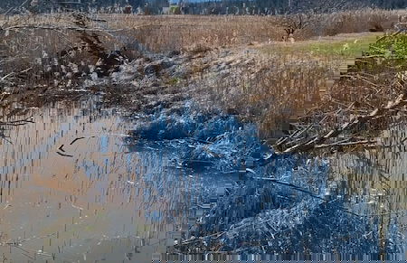 Villa Alpenpanorama - Foto 80