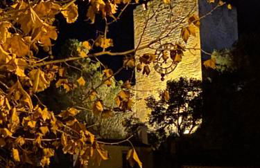 Inspiration maison entière avec jardin - Photo 27