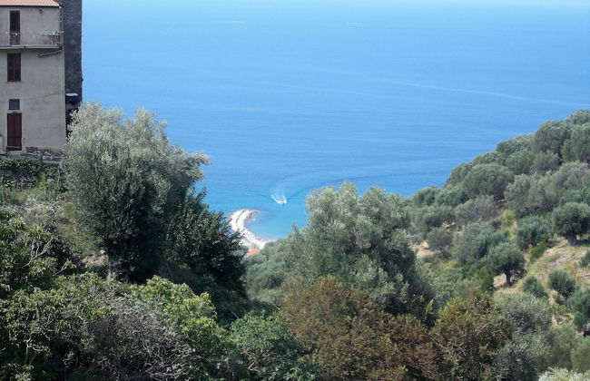 I FIORI DI DONNA ESTER - Foto 56