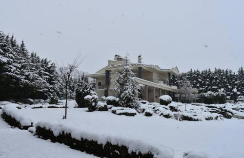 KTHMA TZHKA - Villa Elassona - Photo 43