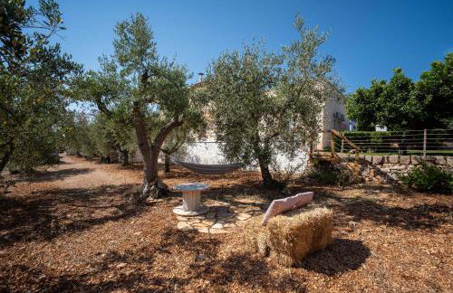 Porta Sugli Ulivi - Foto 18