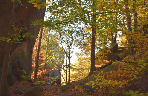 Młyn Karpnicki - Fischbacher Muehle - Foto 26