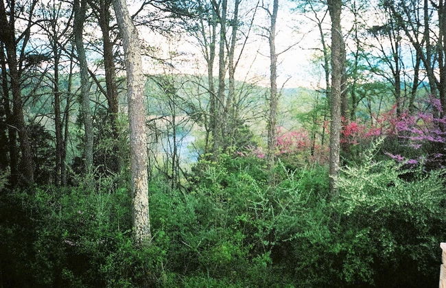 DeHart Cabin - Foto 29