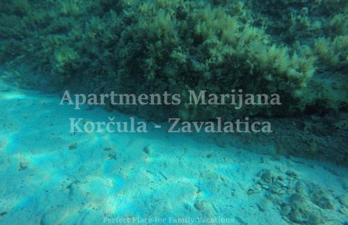 Apartments Marijana - Foto 68