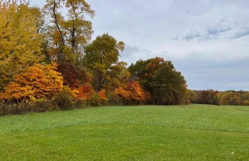 Wandering Whitetail Estate - Indiana Dunes - Valpo U - Pet Friendly - Foto 9