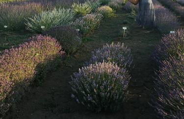 Dimora San Francesco - Foto 27