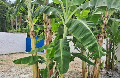 Recanto Ganesha seu paraíso na praia, no Recanto de Itaipuaçu ao lado de Itacoatiara - Foto 51
