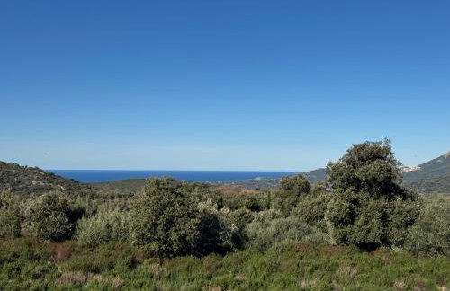 L'Immortelle - T3 avec balcon vue mer & montagne - Photo 18