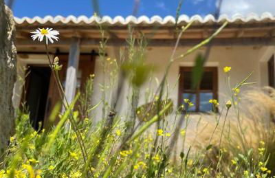 Caso no Campo - Stunning Home By The Sea - Foto 12