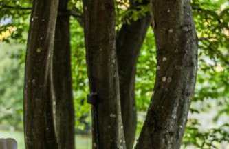 Wild Rose Samobor - Foto 66