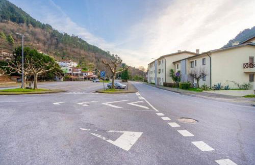 Tulipa do Gêres - Foto 13