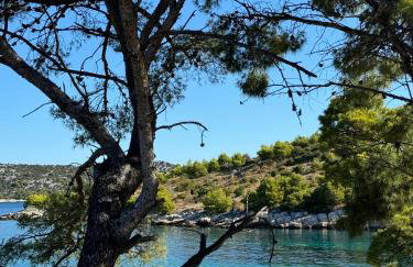 Villa Mrvica - Bilo, Primosten - Foto 23