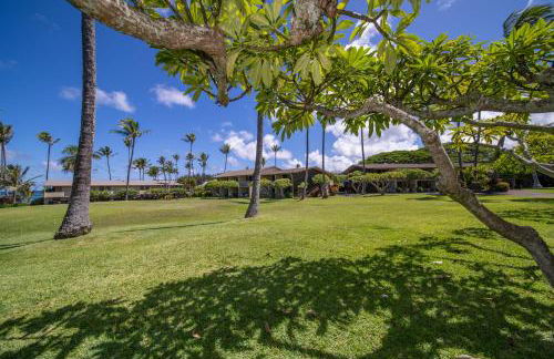 Napili Shores Maui by OUTRIGGER - No Resort & Housekeeping Fees - Foto 38