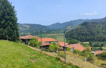 La Casita de Tití - Photo 13