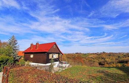 Holiday House Gajski Vrh - Foto 38