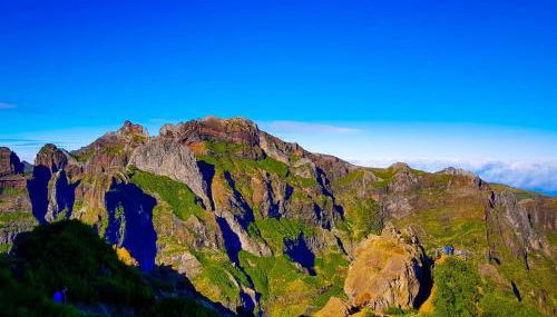 Casa da Bungavillia - Foto 3