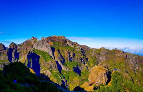 Casa da Bungavillia - Photo 3