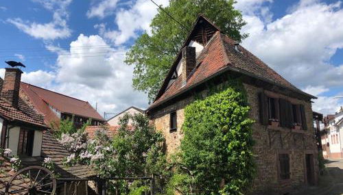 1463 Apartmenthaus - Foto 4