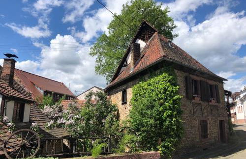 1463 Apartmenthaus - Foto 4