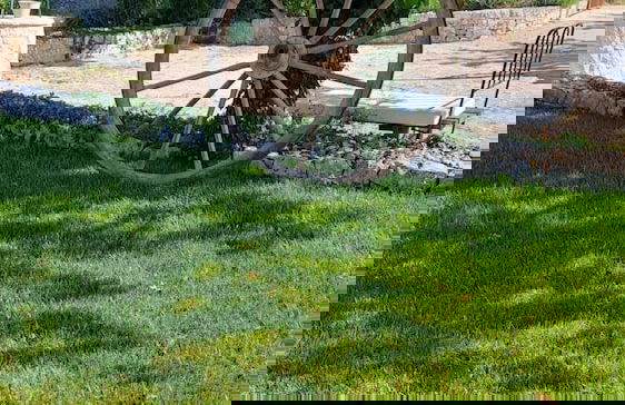 Trulli Lamascrasciola - Foto 52