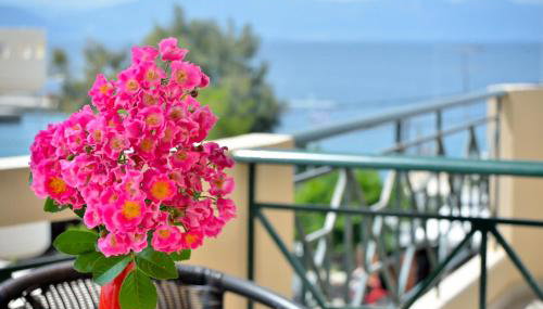 Evia Studios - Photo 4