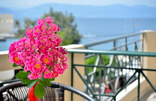 Evia Studios - Photo 4