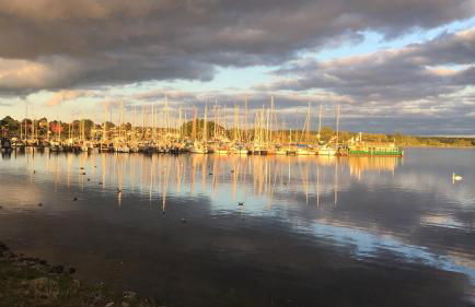 Sonnenblick - Photo 16