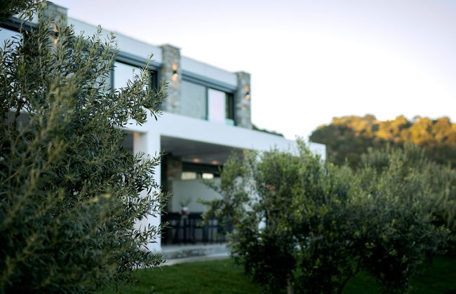 Casa Del Olivar - Photo 42