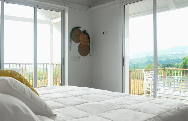 Finca San Cayetano - Photo 4