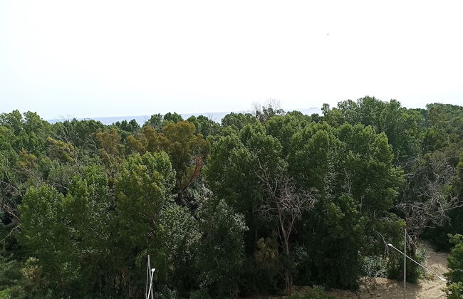 Studio Sea View in Durres Plazh - Foto 1