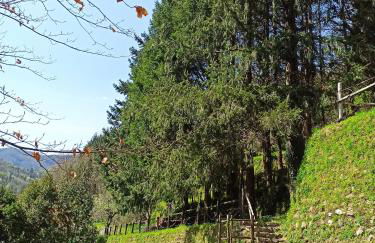 Il Bosco di Campo Marzano Garden Apartments - Foto 50