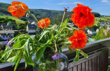 Panoramablick Willingen Schwalefeld - Foto 13