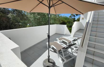 EstrelasDourada ALVOR Limoeiro - Foto 28