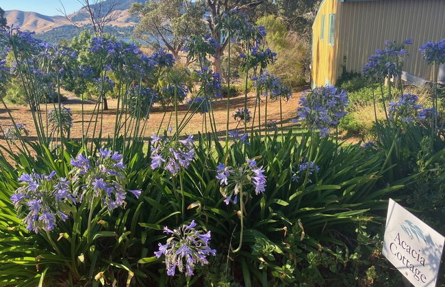 Burnt Creek Cottages Mansfield - Photo 62