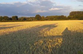 Newbus Grange Lodge The Cottage - Photo 9