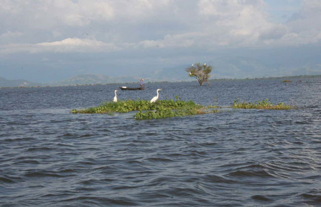 Excursion privée aux rivières de la Sierra Nevada de Santa Marta - Photo 6