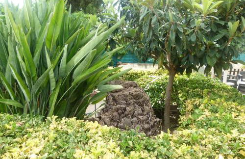 Villa Aurora Appartamento in villa con piscina - Foto 44