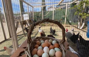 La Bella Vista Estate - Foto 27